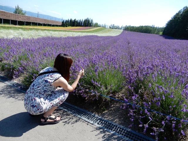 【夏休み】北海道旅行の金額はどのくらい？